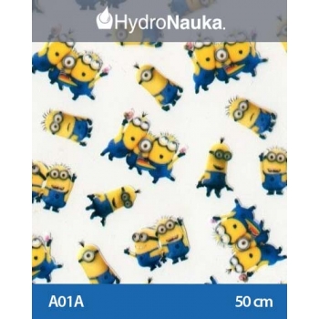 Folia do hydrografiki Minionki